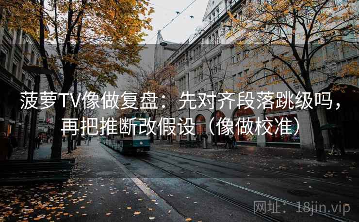 菠萝TV像做复盘：先对齐段落跳级吗，再把推断改假设（像做校准）